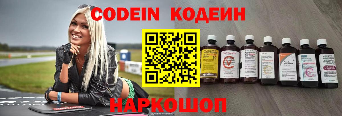 магазин продажи наркотиков  Codein напиток Lean (лин)  Вход с VPN  Камышлов  Кодеин Purple Drank 