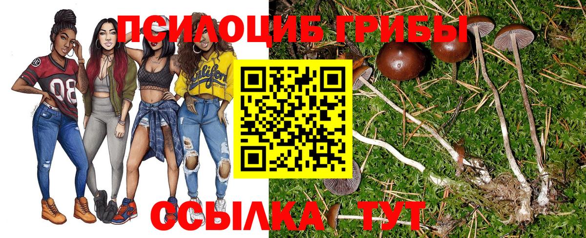 Псилоцибиновые грибы прущие грибы Камышлов