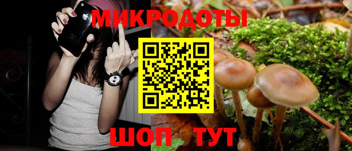Псилоцибиновые грибы GOLDEN TEACHER  Вход с VPN  Камышлов  Галлюциногенные грибы Psilocybine cubensis 